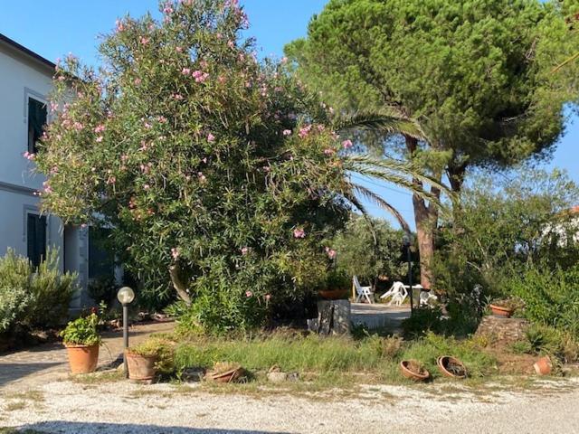 Isola D'Elba Casa Vacanze - Villa Portello - Magnetite - La Casina Rio Marina Exterior photo